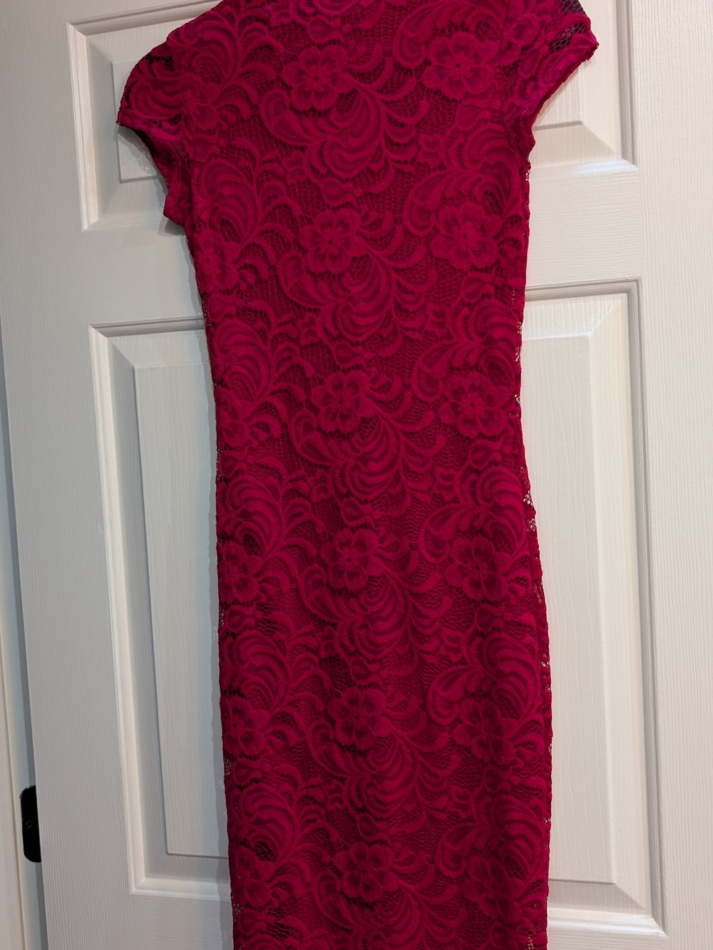 Fitted Lace Sheath Dress in Deep Red Romantic Classic Stunning Dress